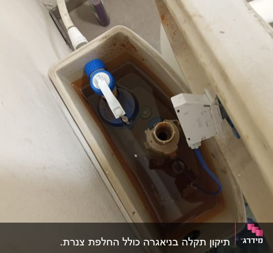 מיכל שירותים פתוח עם חלקים פנימיים גלויים